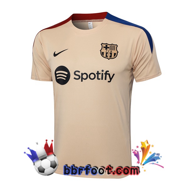 Training T-Shirts FC Barcelone Jaune 2024/2025