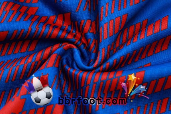 Survetement Foot FC Barcelone Bleu 2024/2025