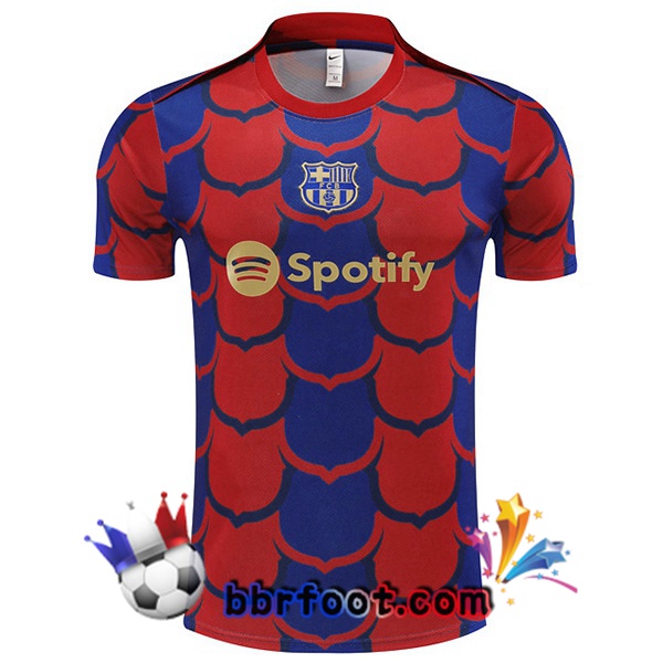Training T-Shirts FC Barcelone Rouge Bleu 2024/2025
