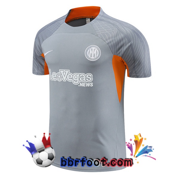 Training T-Shirts Inter Milan Gris 2024/2025