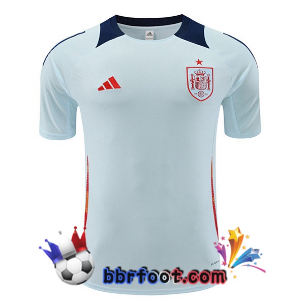 Training T-Shirts Espagne Bleu 2024/2025