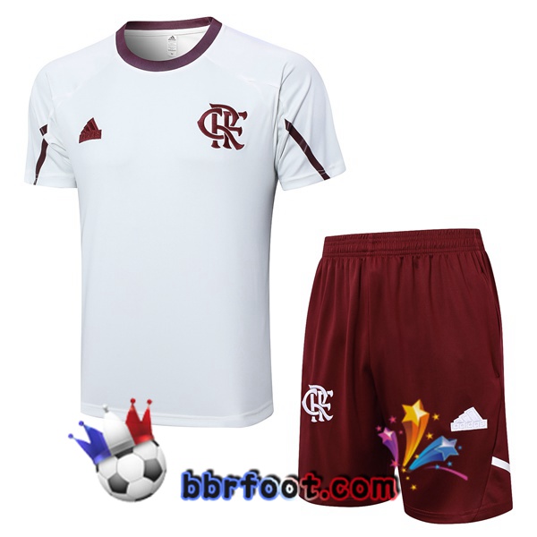 Ensemble Training T-Shirts Flamengo + Shorts Blanc 2024/2025