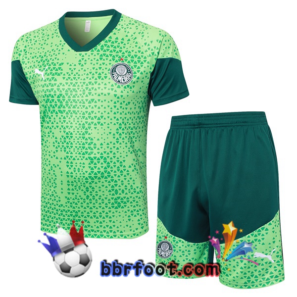Ensemble Training T-Shirts Palmeiras + Shorts Vert 2024/2025