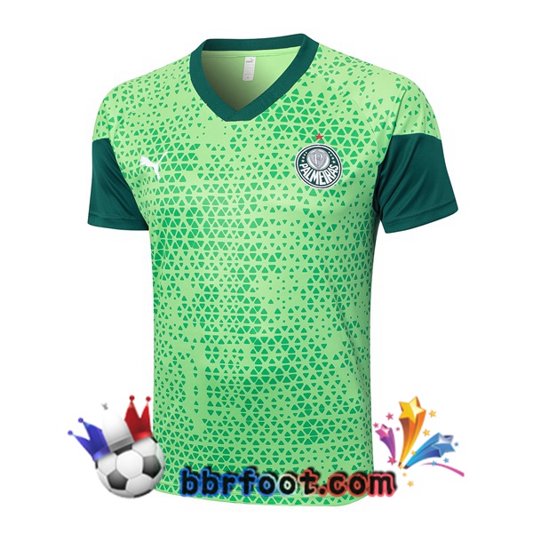 Training T-Shirts Palmeiras Vert 2024/2025