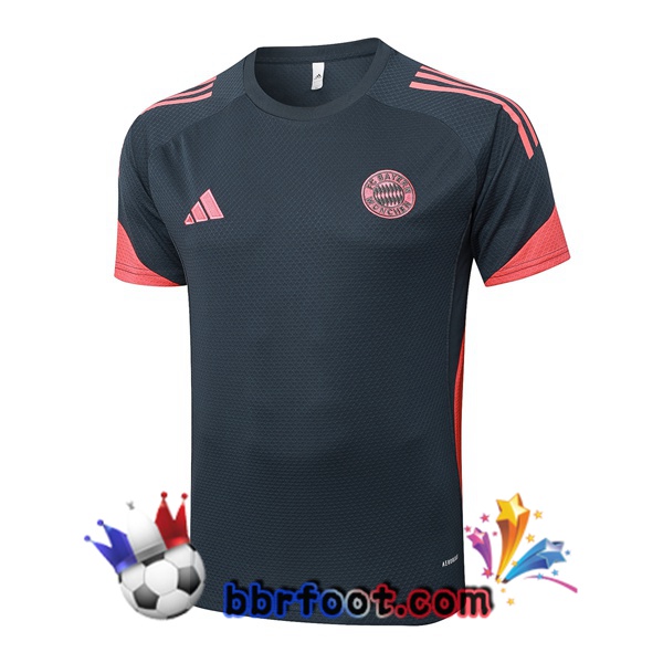Training T-Shirts Bayern Munich Gris 2025/2026 Training T-Shirts Bayern Munich Gris 2025/2026