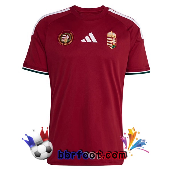 Maillots Equipe De Hongrie Domicile Marron FIFA World Cup 2026