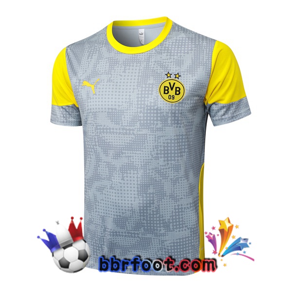 Training T-Shirts Dortmund BVB Gris 2025/2026 Training T-Shirts Dortmund BVB Gris 2025/2026