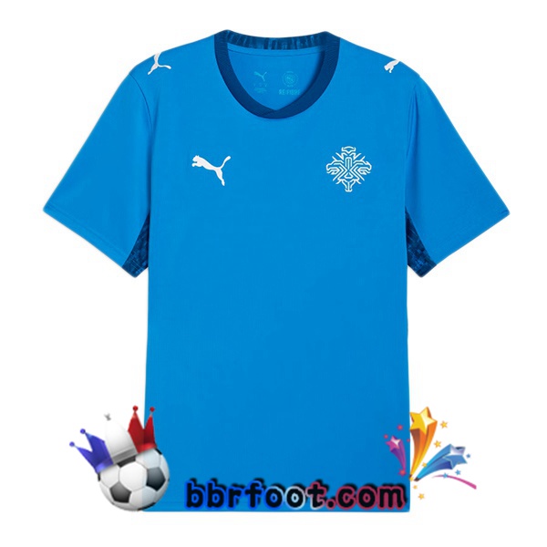 Maillots Equipe De Islande Domicile Bleu FIFA World Cup 2026