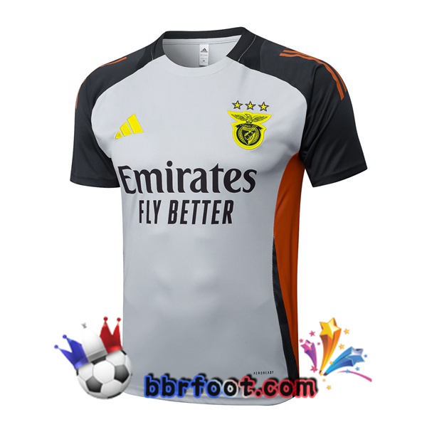 Training T-Shirts S.L Benfica Gris 2025/2026