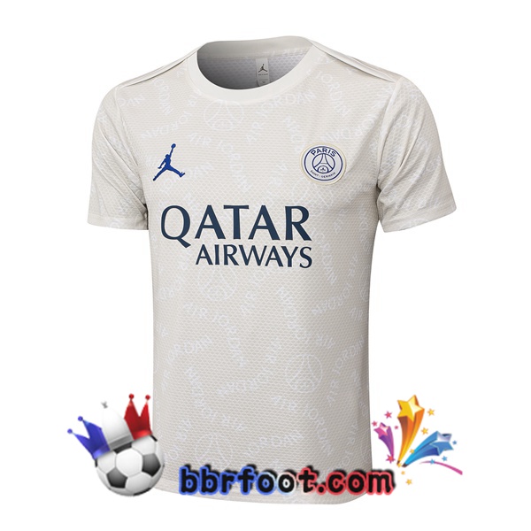Training T-Shirts Jordan Paris PSG Gris 2025/2026