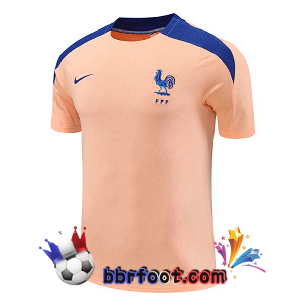 Training T-Shirts France Rose 2025/2026