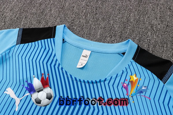 Training T-Shirts Marseille OM + Pantalon Bleu 21/22