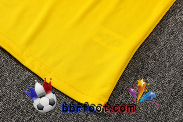 Training T-Shirts Dortmund BVB + Pantalon Jaune 21/22