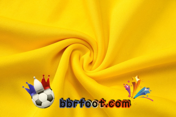 Training T-Shirts Dortmund BVB + Pantalon Jaune 21/22