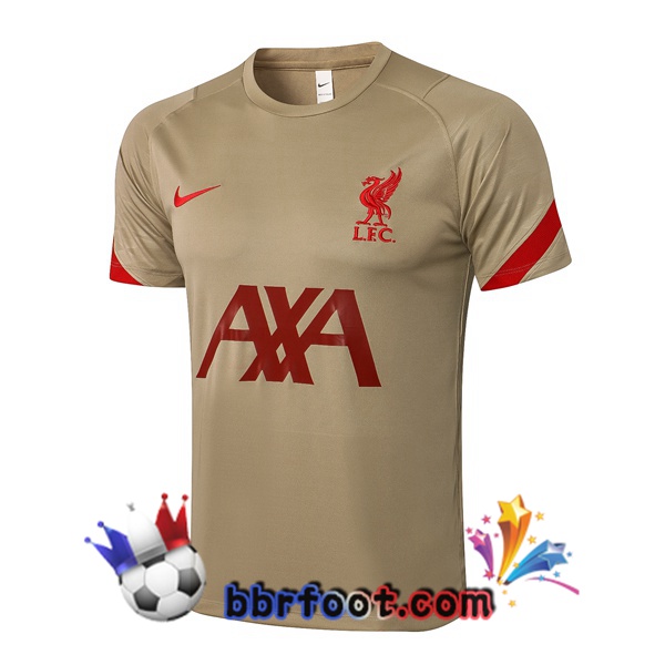 Training T-Shirts FC Liverpool Jaune 21/22