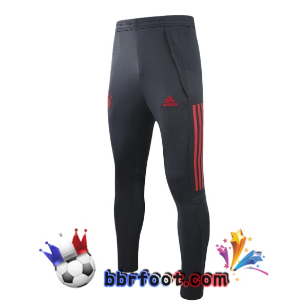 Pantalon Foot Bayern Munich Gris 20/21