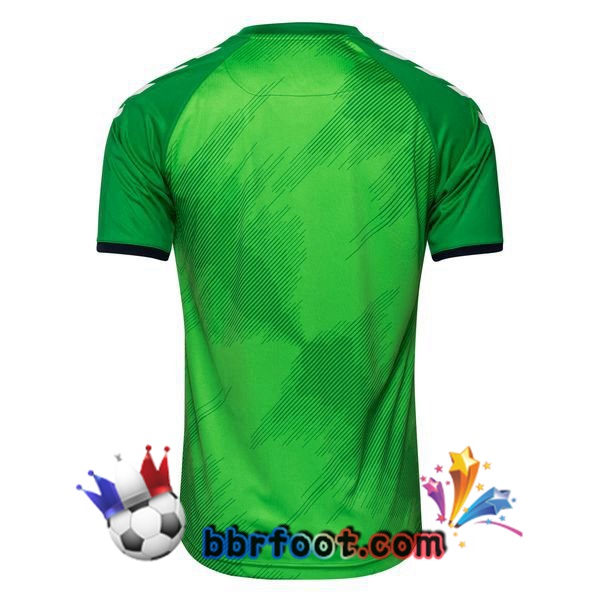 Maillots Equipe De Danemark Gardien de but Vert 20/21