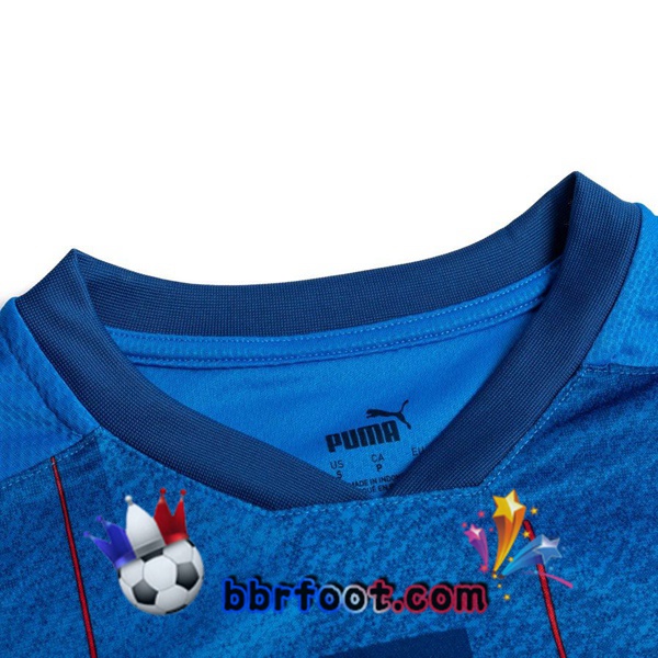 Maillot Equipe De Islande Domicile 20/21