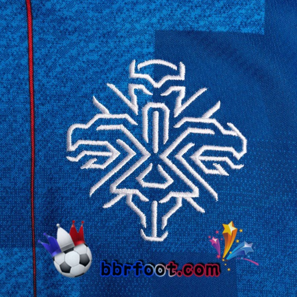 Maillot Equipe De Islande Domicile 20/21