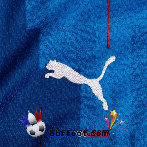 Maillot Equipe De Islande Domicile 20/21