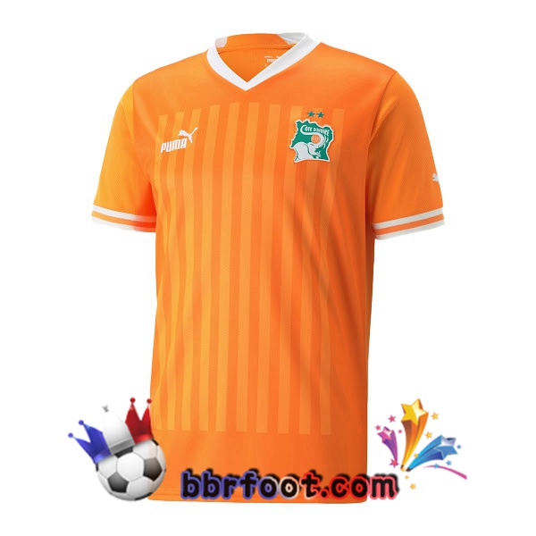 Maillots Equipe De Côte d'Ivoire Domicile Jaune 2022/2023