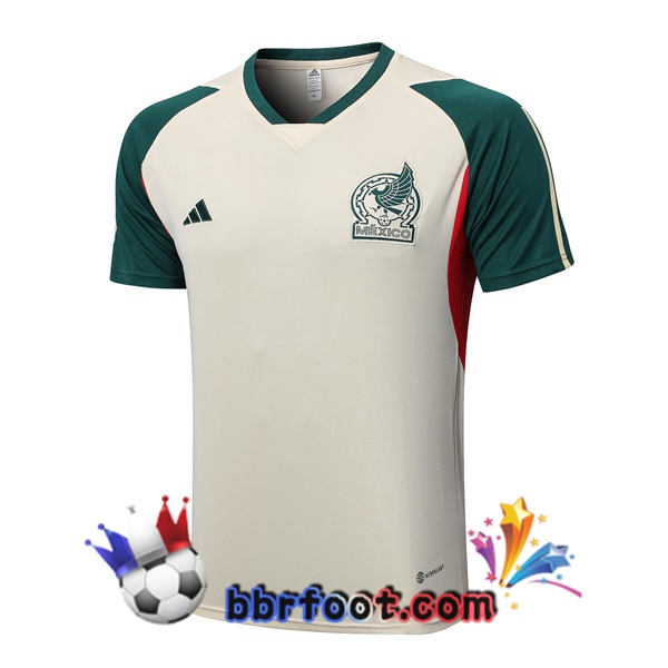 Training T-Shirts Mexique Marron 2023/2024