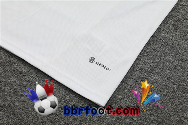 Training T-Shirts Algerie + Shorts Blanc 2023/2024