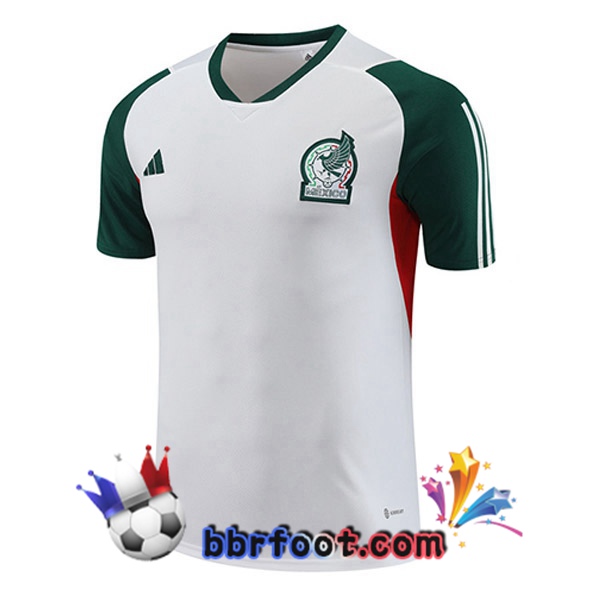 Training T-Shirts Mexique Blanc 2023/2024