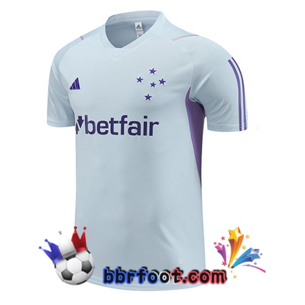 Training T-Shirts Cruzeiro EC Gris 2023/2024